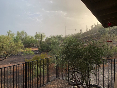July 30 - A thunderstorm and rain at last! Just after our early morning walk - 6:30am. July 30 - A thunderstorm and rain at last! Just after our early morning walk - 6:30am.
